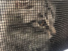 -伟伟宠物医院·CT影像中心·瑞派犬猫综合性门诊(汉口总院)