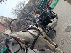 -天津五大道文化旅游区