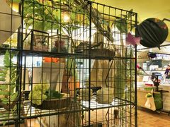 景观位-花蒲甜品(海信广场店)