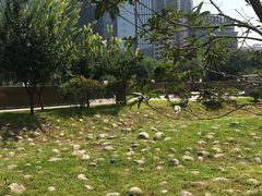 -唐城墙遗址公园