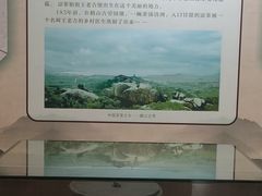 -广州神农草堂中医药博物馆