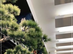 -绿茶餐厅(同成街华联店)