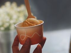 -Dip in Gelato(富民路店)