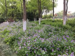 -杭州城北体育公园