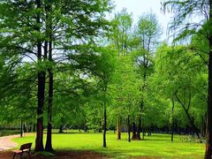 -西溪国家湿地公园