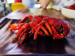 -龙巢盱眙龙虾·鸡煲·烧烤宵夜(坪洲店)