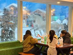 -世界之窗阿尔卑斯冰雪世界