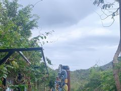 -亚龙湾热带天堂森林公园