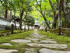 -西芳寺(苔寺)