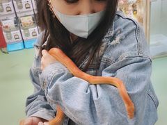 -藦茜花园宠物主题亲子互动体验馆(国顺东路店)