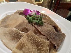 经典毛肚-巴奴毛肚火锅(相州店)