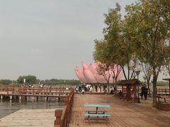-白洋淀景区