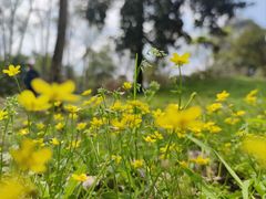-杭州植物园