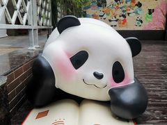 -轩客会(熊猫书店)