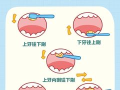 -极光口腔·矫正种植修复(锦江店)