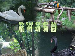 -杭州动物园