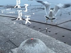 -星海广场