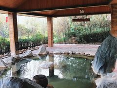 -大理地热国