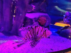 -沈阳海洋探索中心