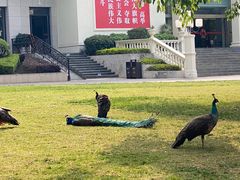 -西昌邛海宾馆