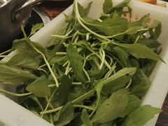 -正能量脆肉鲩火锅