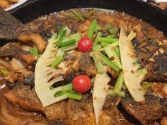 -老板恋上鱼(恒隆广场店)