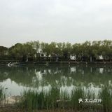 第一次到这个岛上来，被深深地震撼了！因为都是豪华别墅啊！