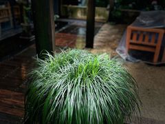 -旅马餐厅(茅家埠店)