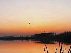 -丁香湖公园