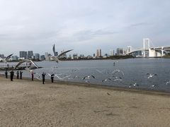 -台场海滨公园船码头