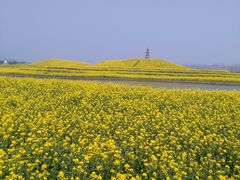 -兰陵国家农业公园