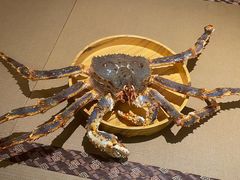 -蟹田居·活蟹料理(东城店)