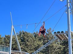 -西霞口神雕山野生动物世界