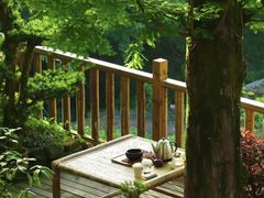 -缙云山景区