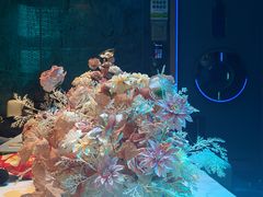-方糖KTV-PLUS(世茂广场店)