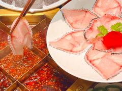 荷花乌鱼片-蜀九香火锅(彩虹店)
