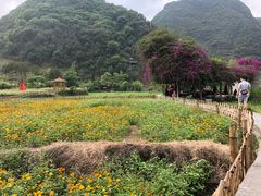 -靖西鹅泉风景区