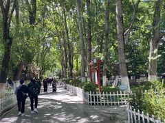 -宗角禄康公园