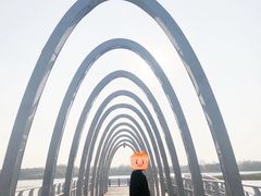 -大兴滨河森林公园