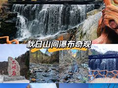 -凤凰山国家森林公园