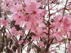 -福建鲤鱼洲酒店