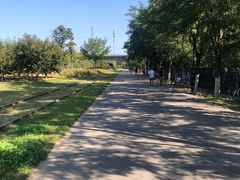 -永定河休闲森林公园