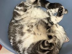 -平行世界·猫咖(首经贸店)