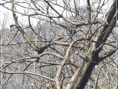 -敬亭山风景名胜区