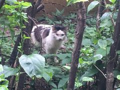 -晓港公园