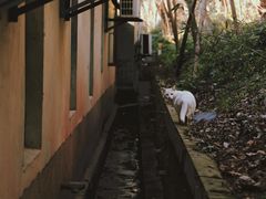 -T80科技文化国际社区-停车场