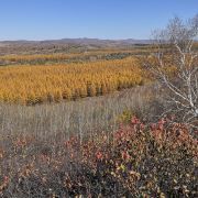 -塞罕坝国家级自然保护区