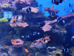 -多彩贵州城极地海洋世界