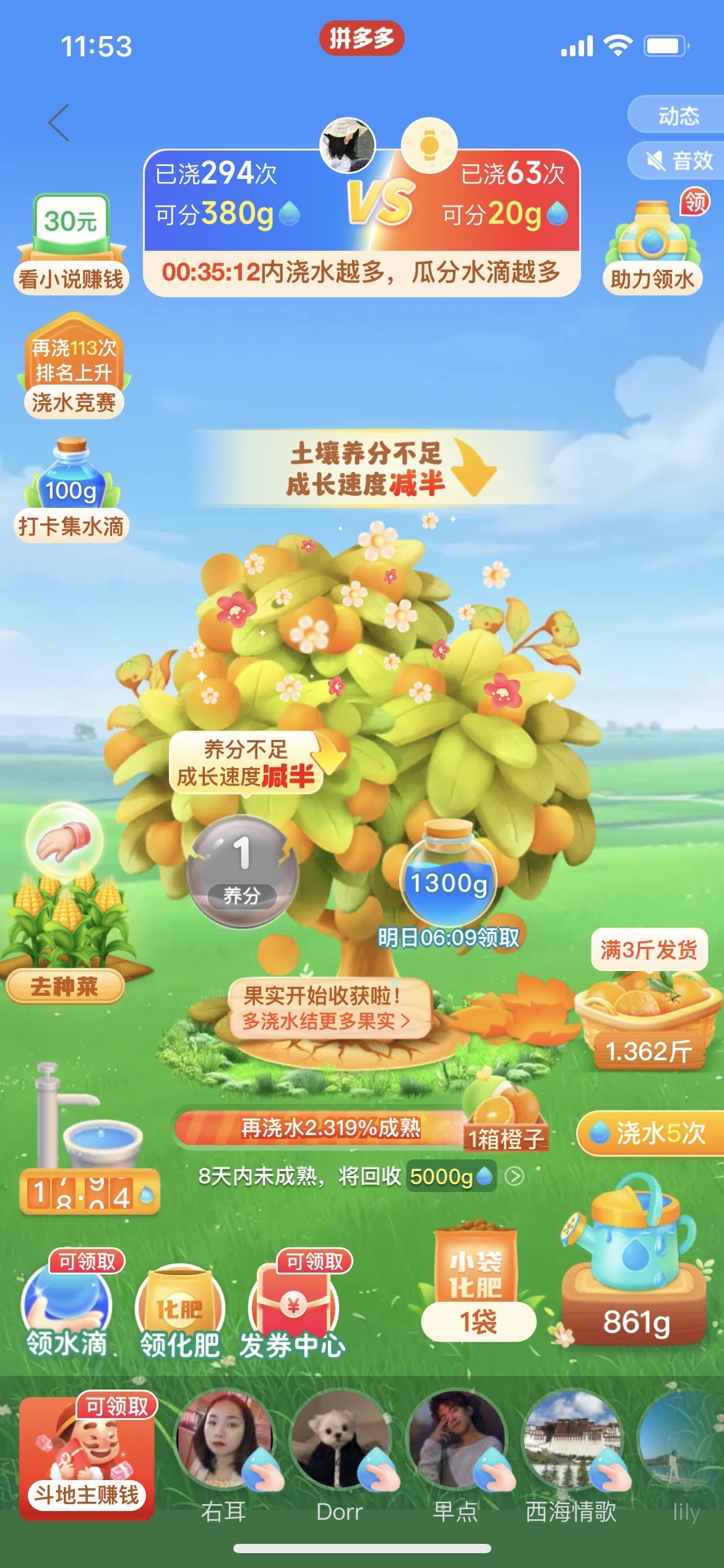 多多果园让人又爱又恨