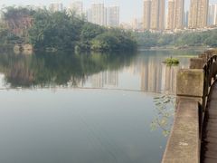-重庆彩云湖湿地公园